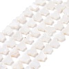 Natural Freshwater Shell Beads Strands SHEL-H002-02E-1