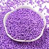 Baking Paint Glass Seed Beads SEED-S042-05A-23-2