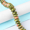 Natural Unakite Beads Strands G-F743-05L-2