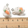 Flocky Resin Pendants RESI-D012-01G-3