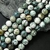 Natural Tree Agate Round Gemstone Beads Strands G-R255-10mm-1