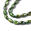 Freshwater Shell Beads Strands SHEL-N026-141B-3