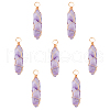Natural Amethyst Pendants G-CJ0001-43-3