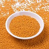 MIYUKI Round Rocailles Beads X-SEED-G007-RR4454-2