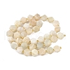 Natural Moonstone Beads Strands G-G271-A02-01-3