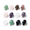Natural Gemstone Carved Skull Statues Ornament G-P525-08-1