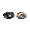 Mother of Pearl Buttons SHEL-J001-M06-4