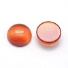 Natural Carnelian Cabochons X-G-P393-R41-12mm-2