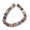 Natural Agate Beads Strands G-H295-C03-18-2
