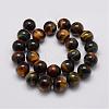 Natural Tiger Eye Bead Strands G-P230-05-10mm-2