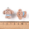 Flocky Resin Pendants FIND-A052-06A-3