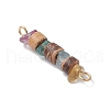 9Pcs 9 Styles Natural Mixed Stone Chip & Natural Coconut Disc Beaded Connector Charms PALLOY-JF03570-4