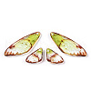 Transparent Resin Wing Earrings Pendants FIND-TAC0006-59D-2