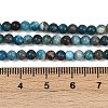 Natural Apatite Beads Strands G-RM250101-E2-4
