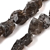 Natural Smoky Quartz Beads Strands G-S386-C08-2