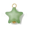 Opaque Acrylic Pendants PALLOY-JF03993-3