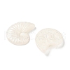 Transparent Resin Cabochons CRES-D306-02-3