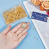 SUNNYCLUE 300Pcs Brass Earring Wire KK-SC0004-84G-3