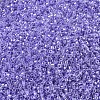 MIYUKI Delica Beads SEED-JP0008-DB0249-4