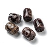 Tibetan Style dZi Beads TDZI-D009-03A-02-1