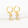 Brass Micro Pave Clear Cubic Zirconia Hoop Earrings FS-WGAF6E5-24-1
