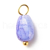 Opaque Baking Painted Crackle Glass Beads Pendants PALLOY-JF01242-5