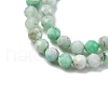 Natural Chrysoprase Beads Strands G-G195-A02-03-4