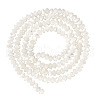  1 Strand Natural Trochus Shell Rondelle Beads Strands SSHEL-TA0001-16A-1