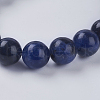 Natural Sodalite Beads Strands G-G515-10mm-07-3
