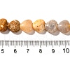 Natural Fossil Coral Beads Strands G-R190-10mm-45-5