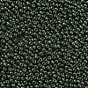 11/0 Grade A Round Glass Seed Beads SEED-N001-A-1040-2
