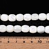Natural Trochid Shell/Trochus Shell Beads Strands SSHEL-N040-09-4