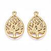 304 Stainless Steel Pendants STAS-N109-41G-1