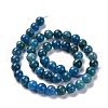 Natural Apatite Beads Strands G-P132-04-8mm-2