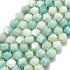 Natural Flower Amazonite Beads Strands G-I376-A68-01-2