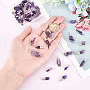 DICOSMETIC 40Pcs 2 Styles Rough Natural Amethyst Pendants FIND-DC0001-82-3