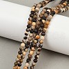 Natural Zebra Jasper Beads Strands G-F792-C13-07-1