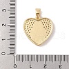 Brass Cubic Zirconia Pendants KK-Z050-10G-01-3