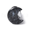Moon Natural Larvikite Wine Stoppers DJEW-P021-D02-2