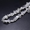 Natural Quartz Crystal Beads Strands X-G-O049-C-61-3