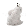 Opaque Resin Pendants RESI-P032-B02-2