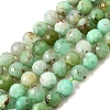 Natural Chrysoprase Beads Strands G-G259-D16-5mm-2