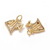 Brass Cubic Zirconia Pendants ZIRC-I062-17G-3