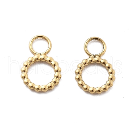 304 Stainless Steel Charms STAS-M111-33G-1