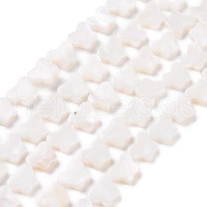 Natural Freshwater Shell Beads Strands SHEL-H002-02E-1