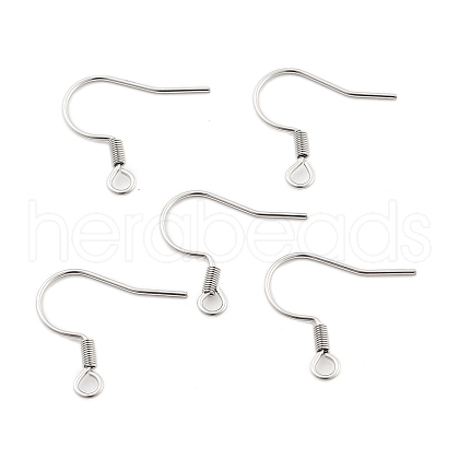 304 Stainless Steel Earring Hooks STAS-P221-04P-1