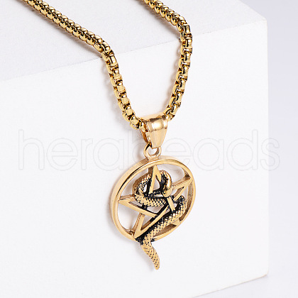 Vintage Stainless Steel Snake Wrapped Pentagram Pendant Punk Necklaces ZI6457-3-1