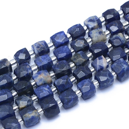 Natural Sodalite Beads Strands G-L552D-04A-1