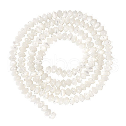  1 Strand Natural Trochus Shell Rondelle Beads Strands SSHEL-TA0001-16A-1
