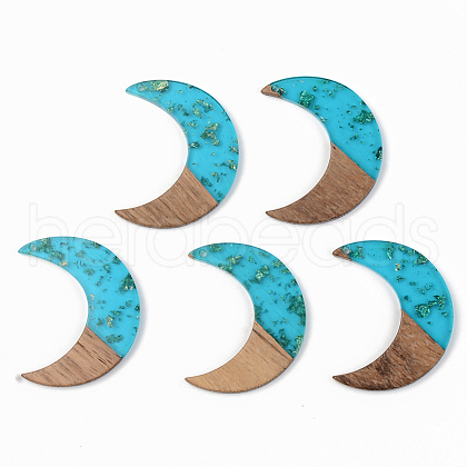 Transparent Resin & Walnut Wood Pendants RESI-S389-056A-B03-1